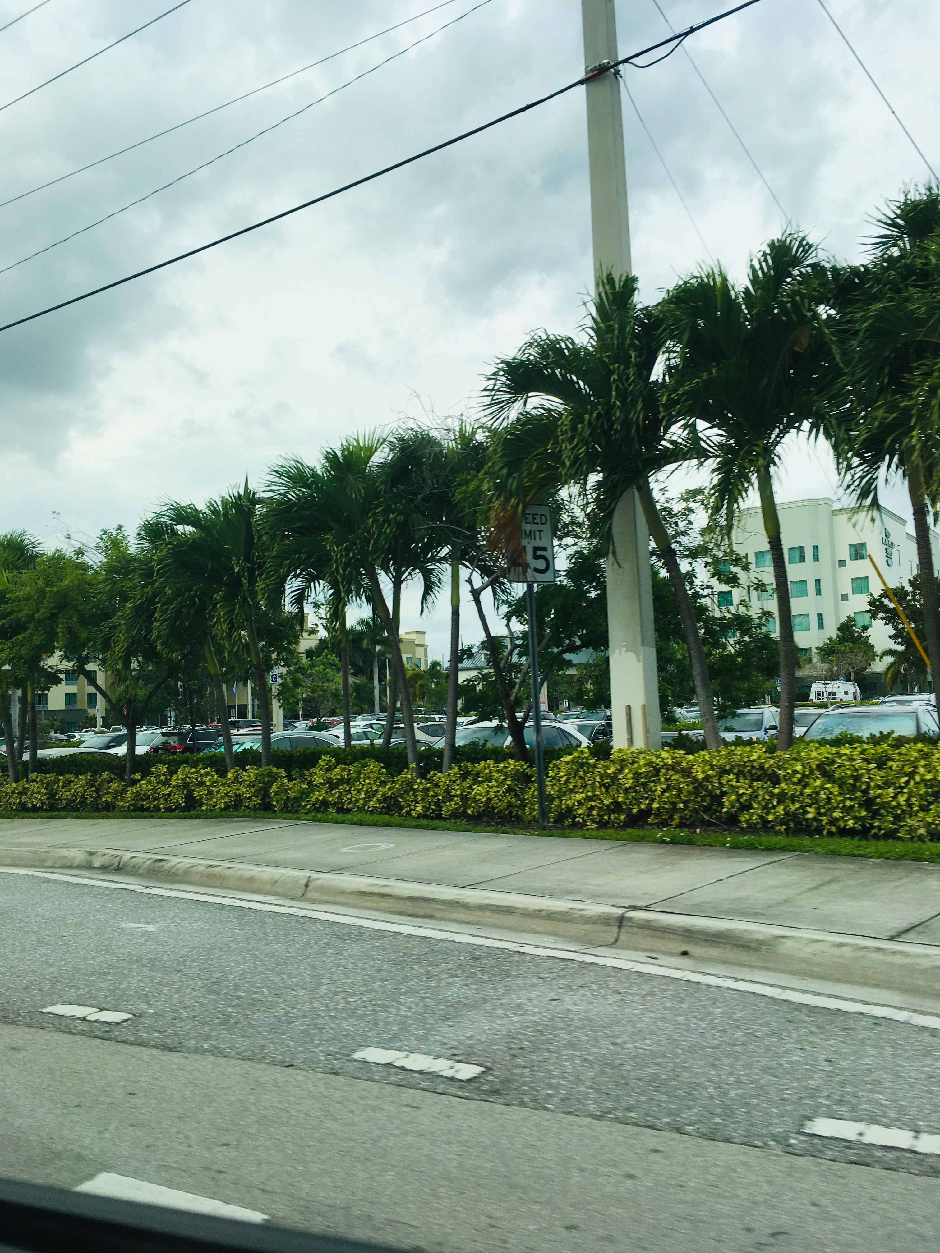 This image has an empty alt attribute; its file name is fullsizeoutput_26.jpeg