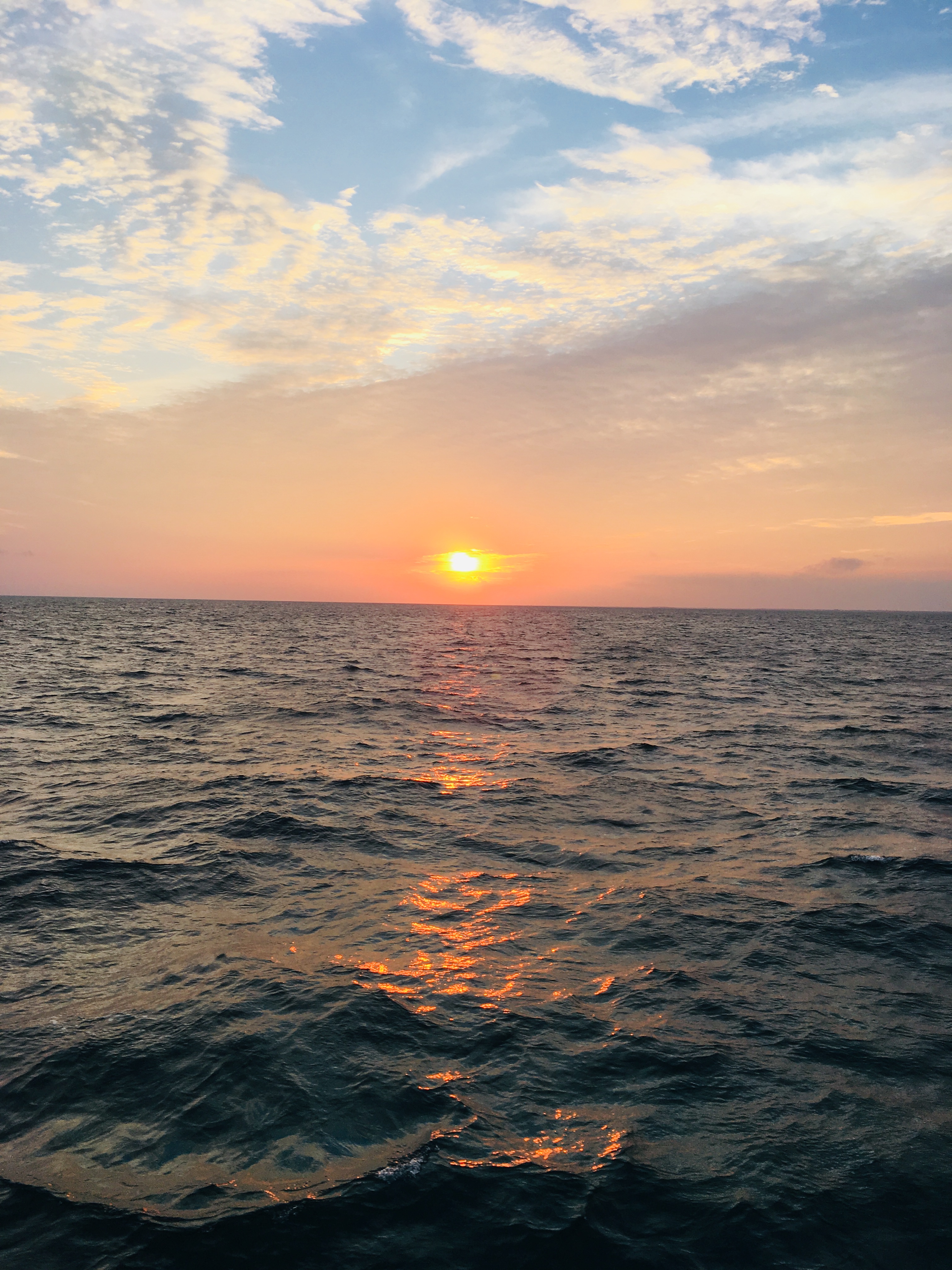 This image has an empty alt attribute; its file name is fullsizeoutput_32.jpeg