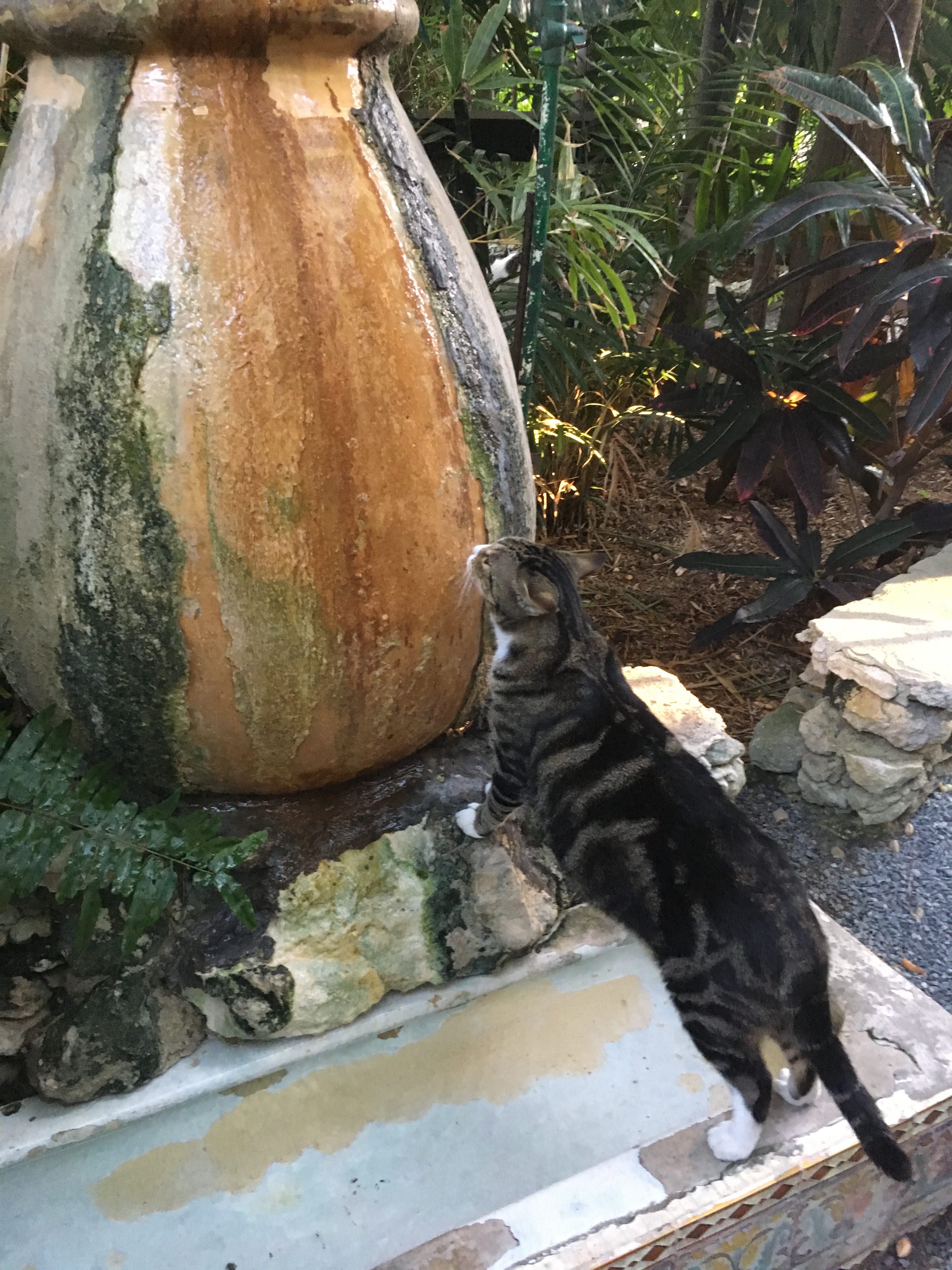 This image has an empty alt attribute; its file name is img_1969-1.jpg