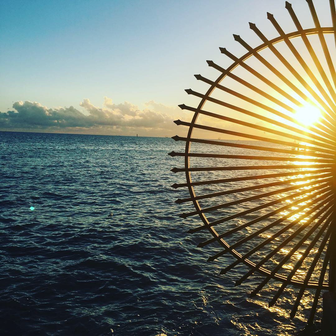 This image has an empty alt attribute; its file name is img_2010.jpg