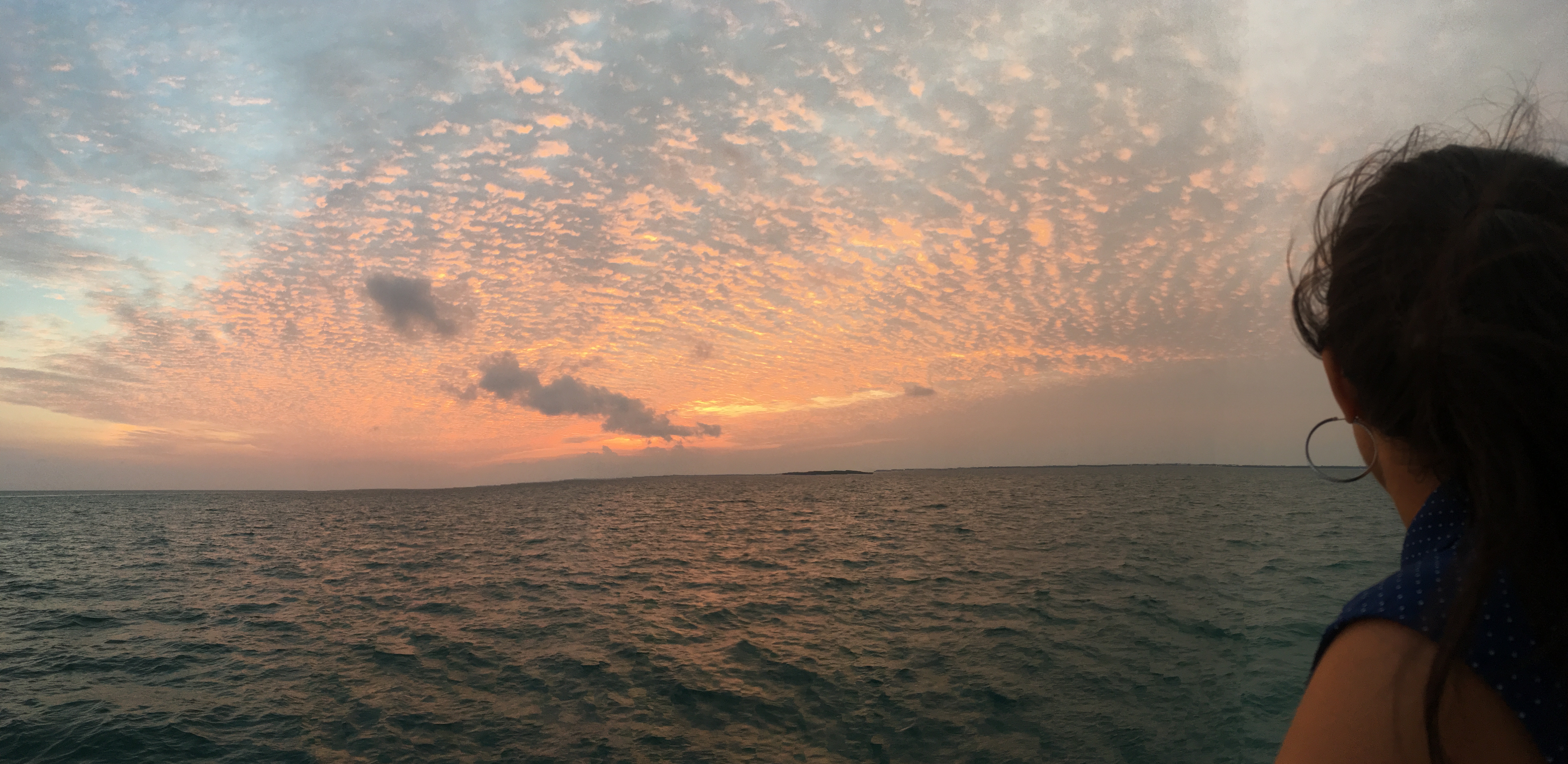 This image has an empty alt attribute; its file name is img_2056.jpg