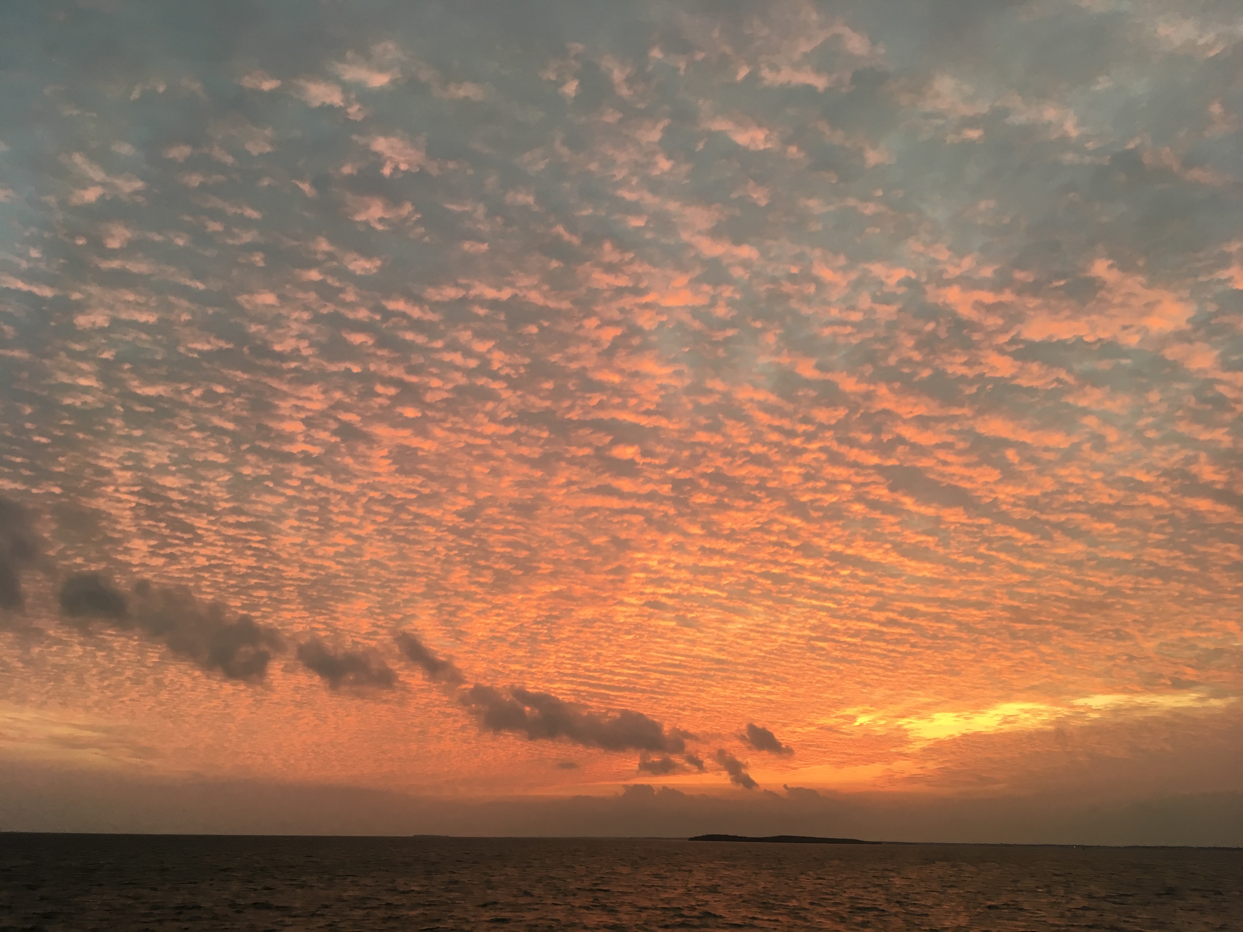 This image has an empty alt attribute; its file name is img_2060.jpg